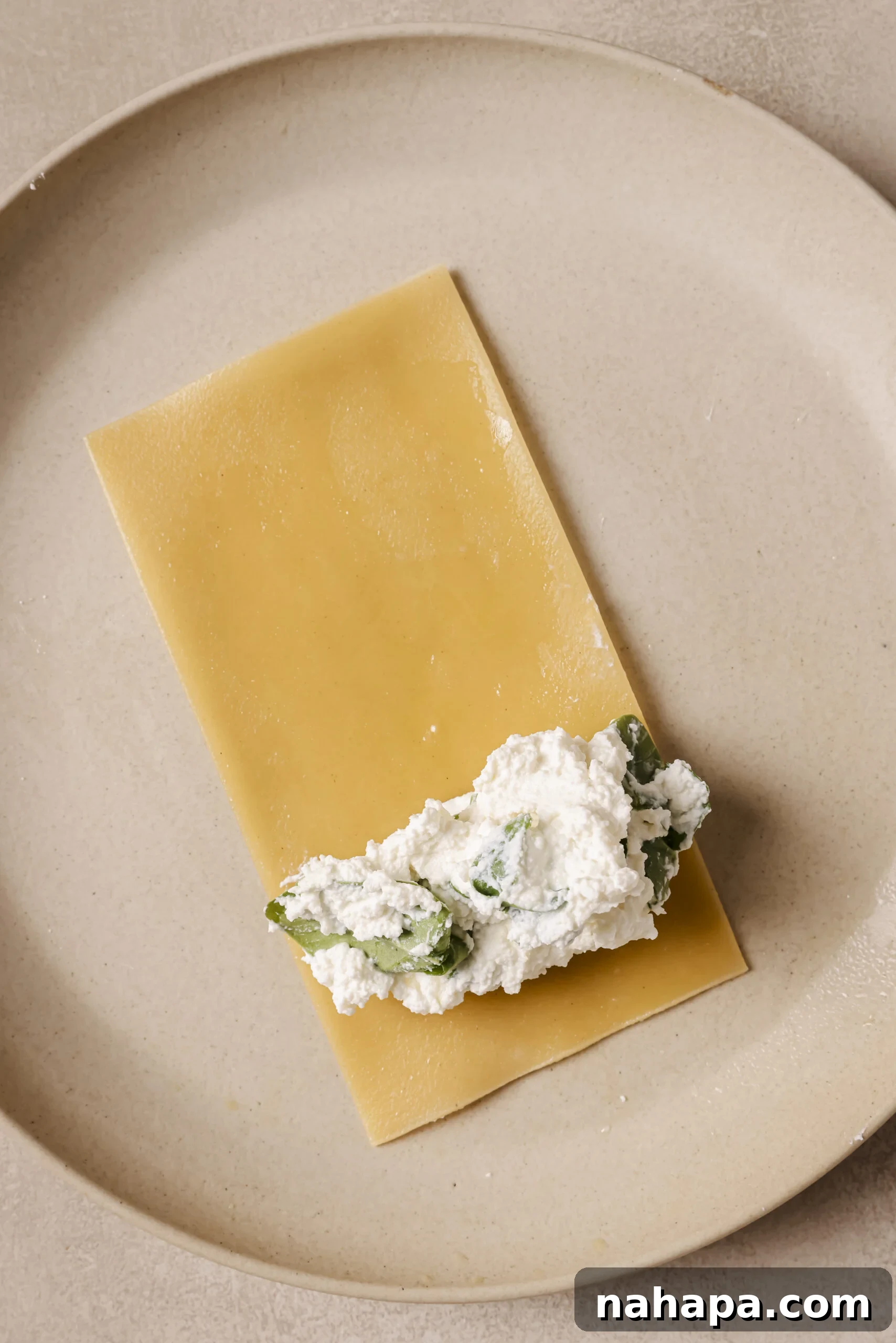 Lasagna sheet unrolled with ricotta filling.