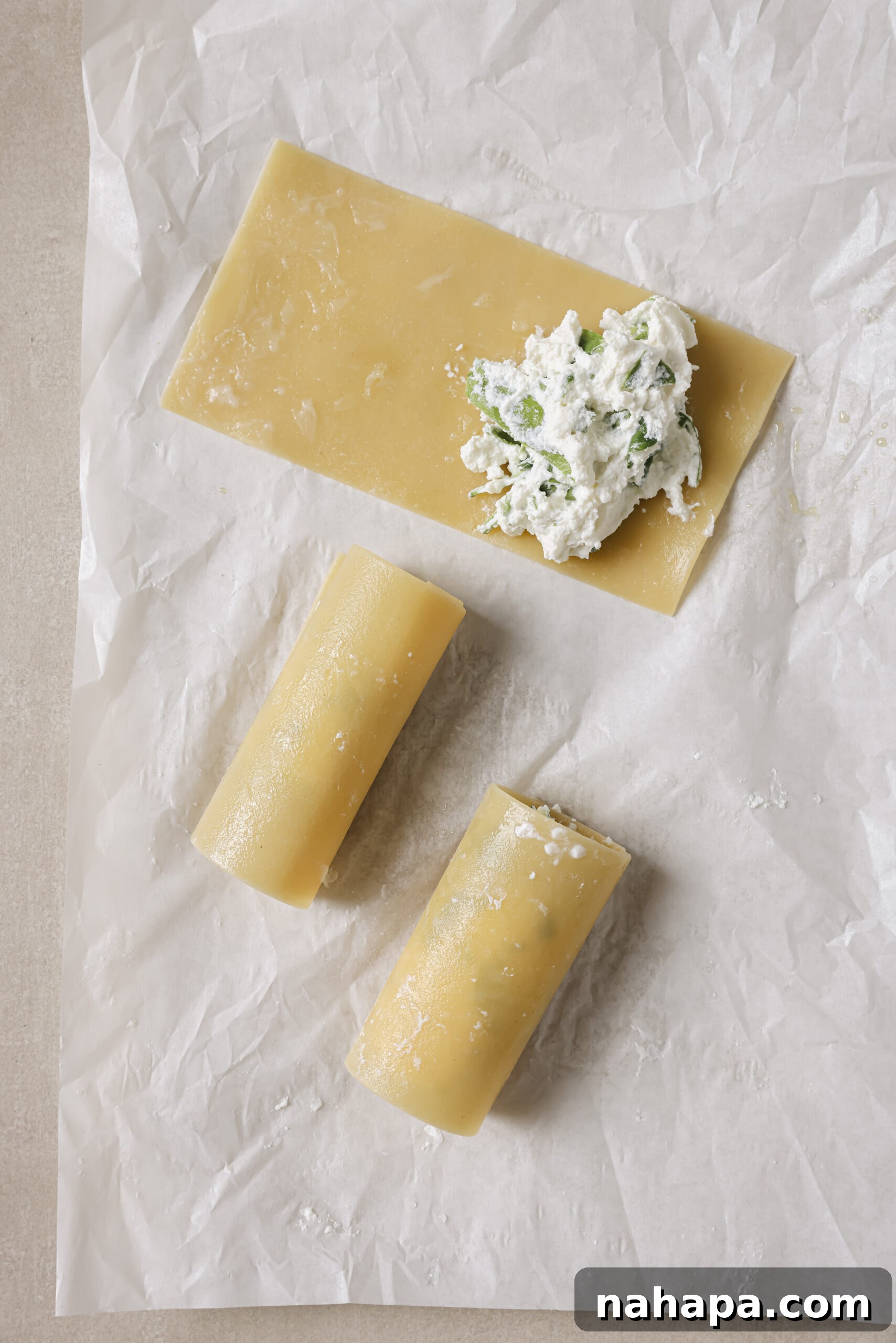 Lasagna sheet being rolled with ricotta filling.
