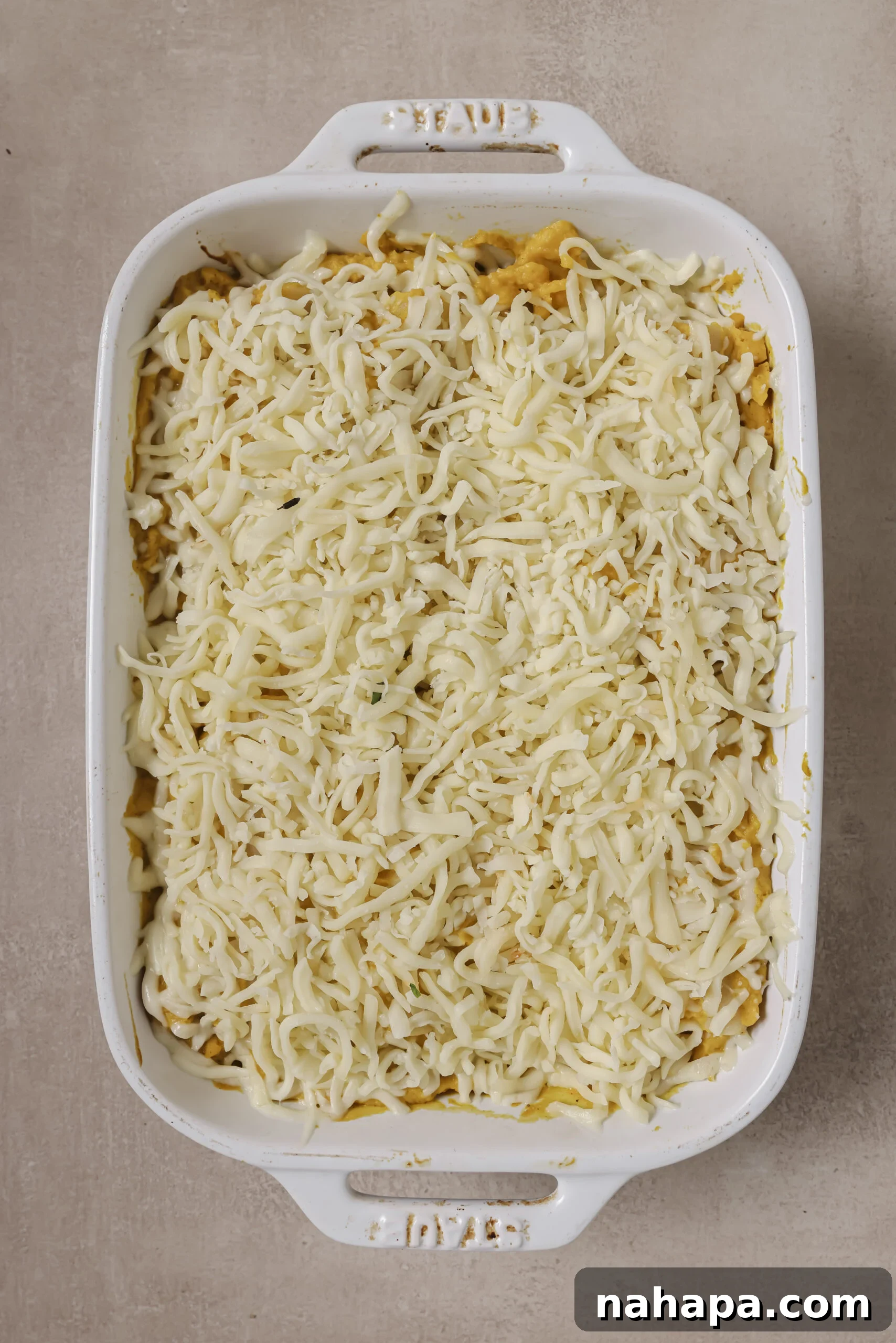 Lasagna roll ups with butternut squash sauce and cheese on top.