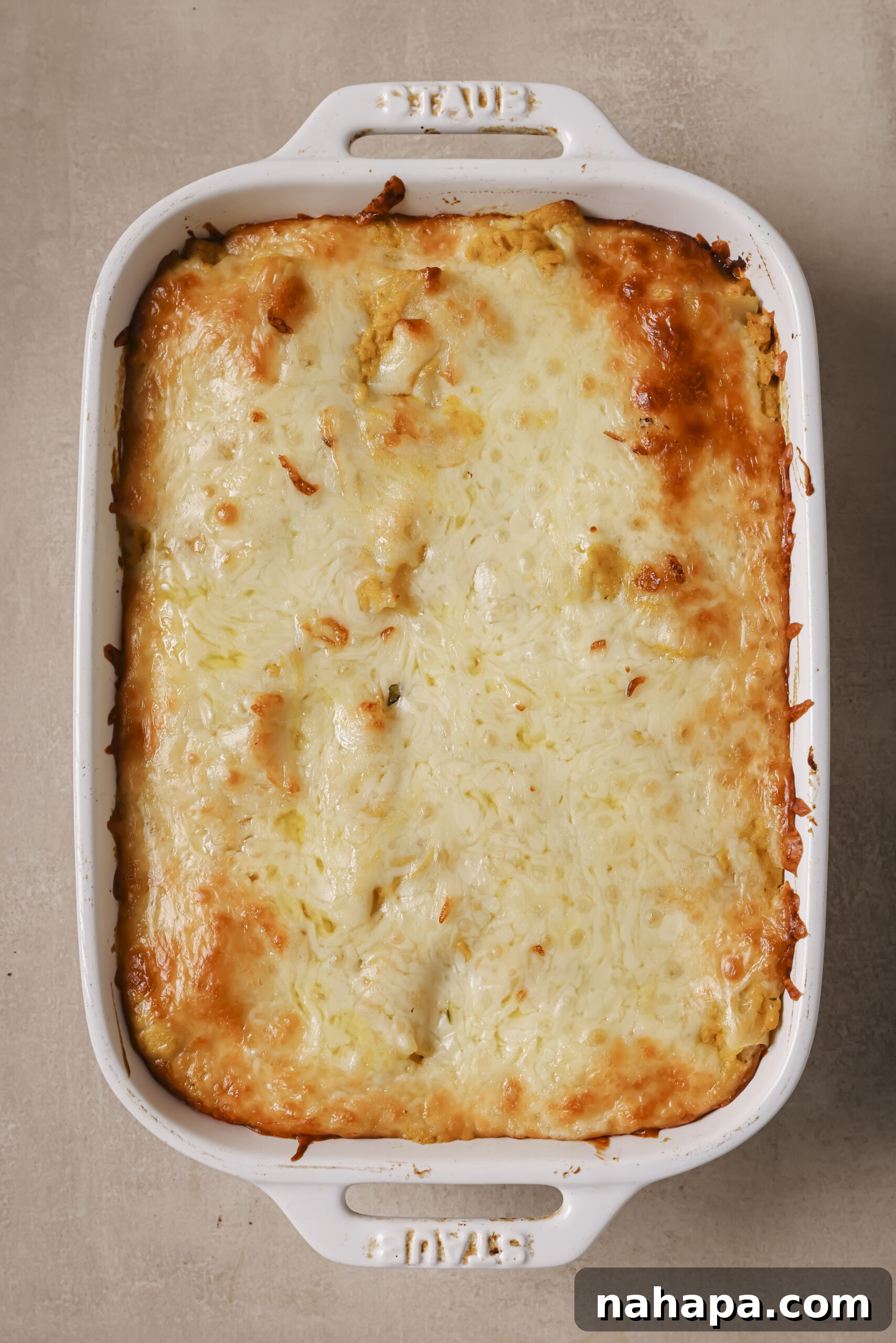 Butternut lasagna roll ups baked with melted cheese.