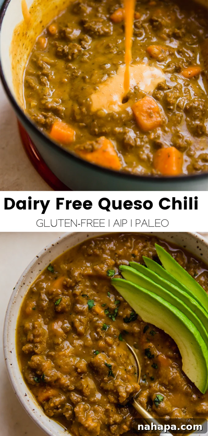 A vibrant, graphic image of a bowl of Dairy-Free Queso Chili, emphasizing its delicious appeal and healthy nature.