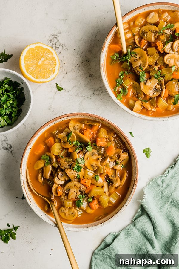 Two bowls of hot Hungarian mushroom soup, garnished with fresh herbs, ready for enjoyment.