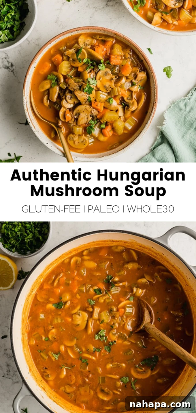 Promotional graphic for Hungarian Mushroom Soup, displaying key ingredients and final dish.