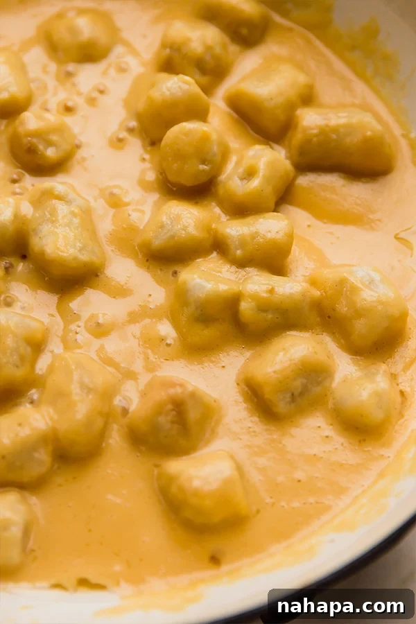A skillet of creamy butternut sauce with gnocchi.