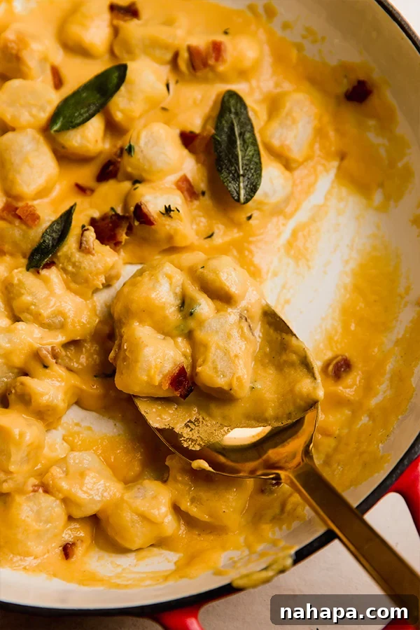 A skillet of creamy butternut sauce with cauliflower gnocchi.