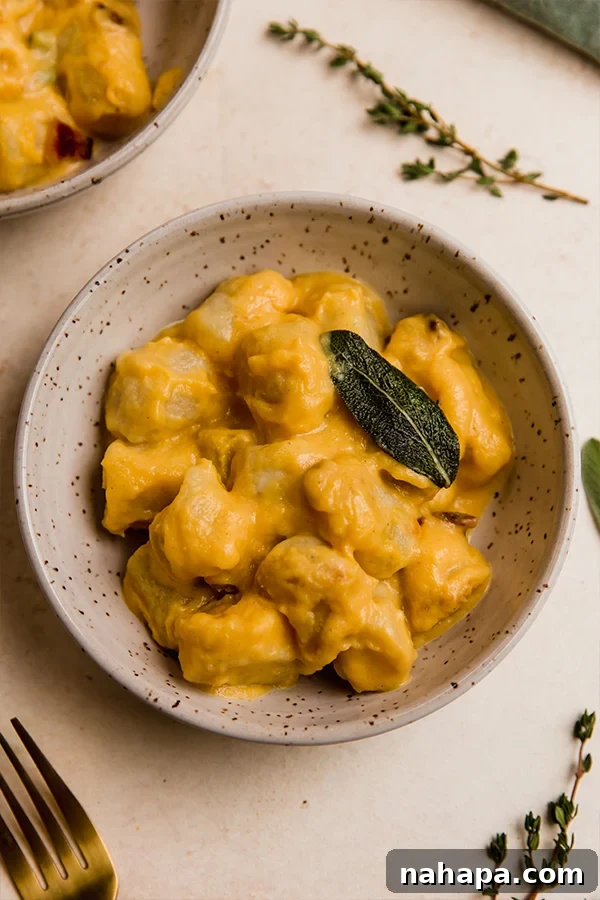 A bowl of creamy butternut sauce with cauliflower gnocchi.