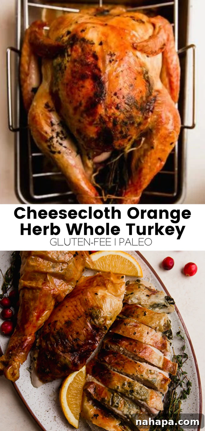 A high-angle shot of the golden-brown roasted cheesecloth orange herb turkey, beautifully presented.
