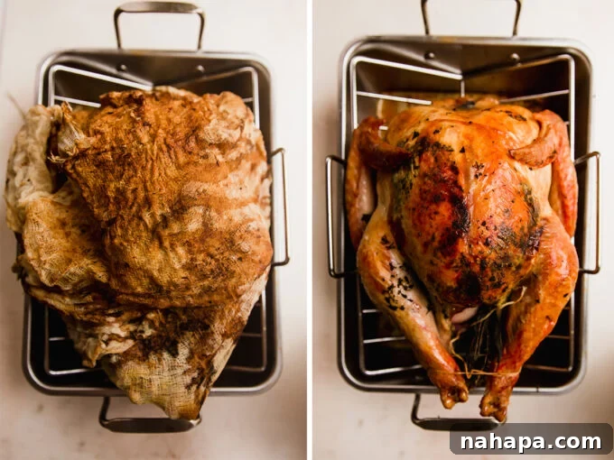 A side-by-side photo displaying a fully cooked turkey on a roasting rack, both with and without the cheesecloth.