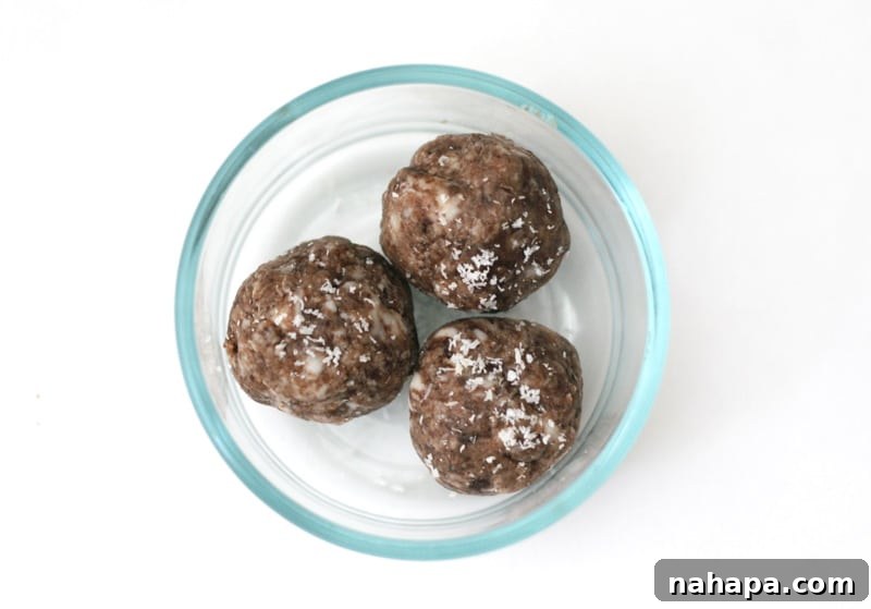 Quick and Wholesome Paleo AIP Snacks for Life on the Go 5 Small, round chocolate-like protein bites sprinkled with coconut flakes.