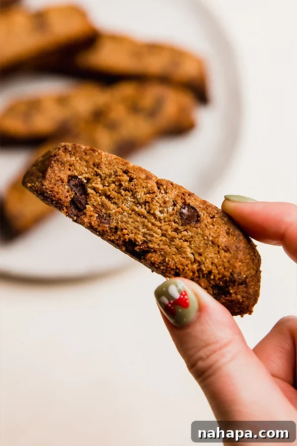 Indulgent Gluten-Free Chocolate Chip Biscotti 4 A hand holding a perfectly baked gluten-free chocolate chip biscotti, showcasing its inviting texture.