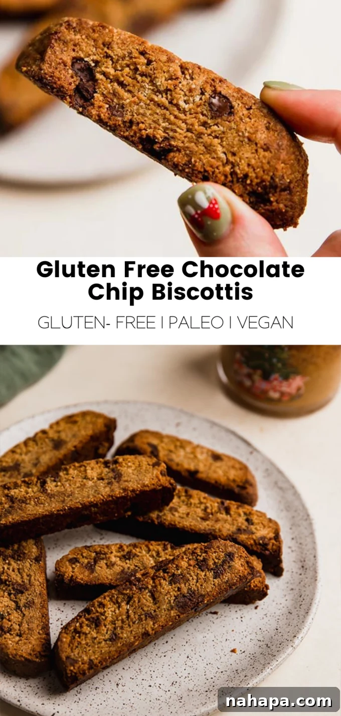 Indulgent Gluten-Free Chocolate Chip Biscotti 6 A visually appealing infographic summarizing the key features of Gluten-Free Chocolate Chip Biscotti, highlighting its dietary benefits and deliciousness.