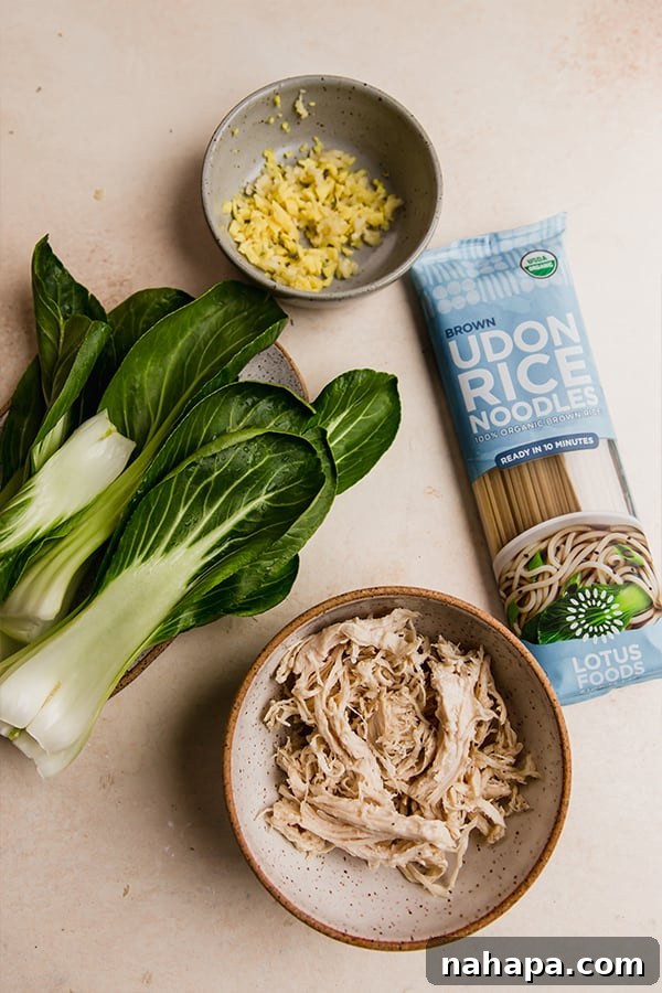 A collection of fresh ingredients laid out for bok choy noodle soup preparation.