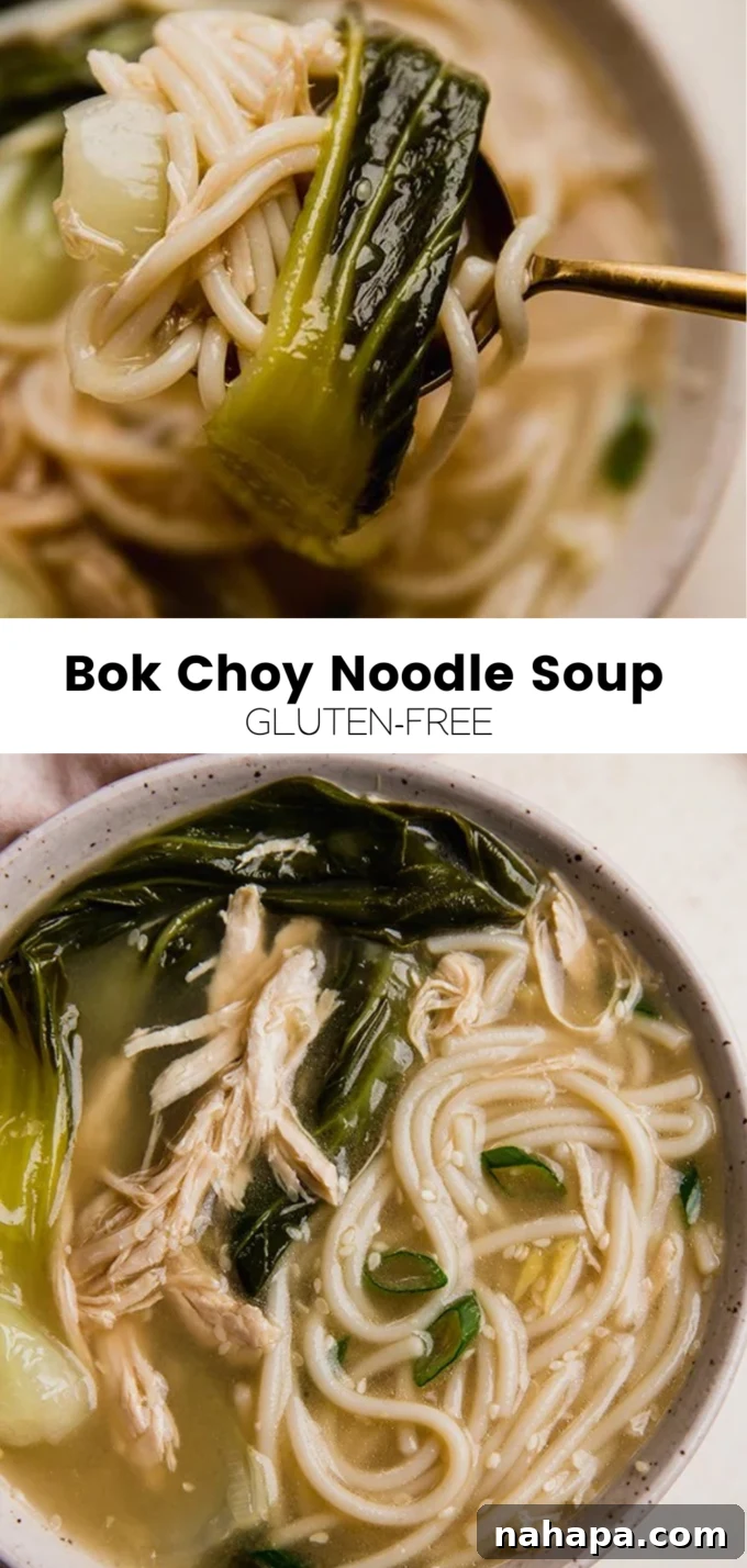 A large, inviting image of the finished Bok Choy Noodle Soup, ready to be served.