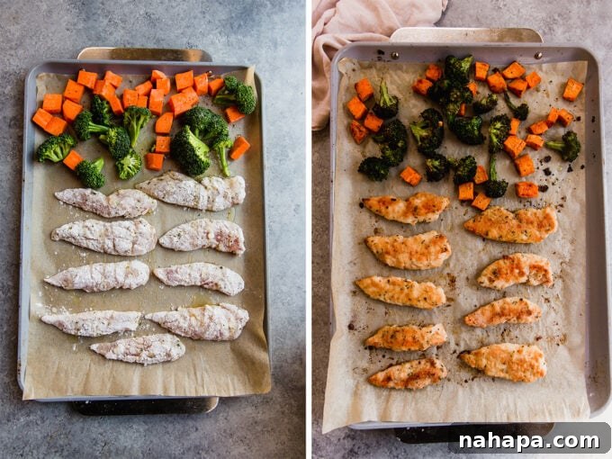 Sheet Pan Chicken Tenders and Roasted Vegetables 4 A side-by-side comparison image showing a baking sheet before and after being cooked, showcasing the raw chicken and vegetables transforming into a golden, crispy meal after roasting.