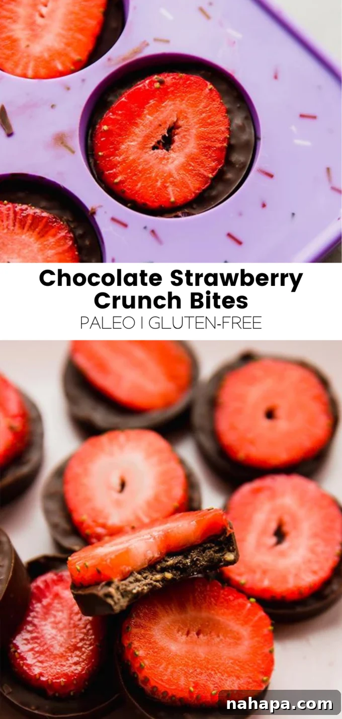 A vibrant and appealing image displaying the finished chocolate strawberry crunch bites, neatly stacked on a plate.