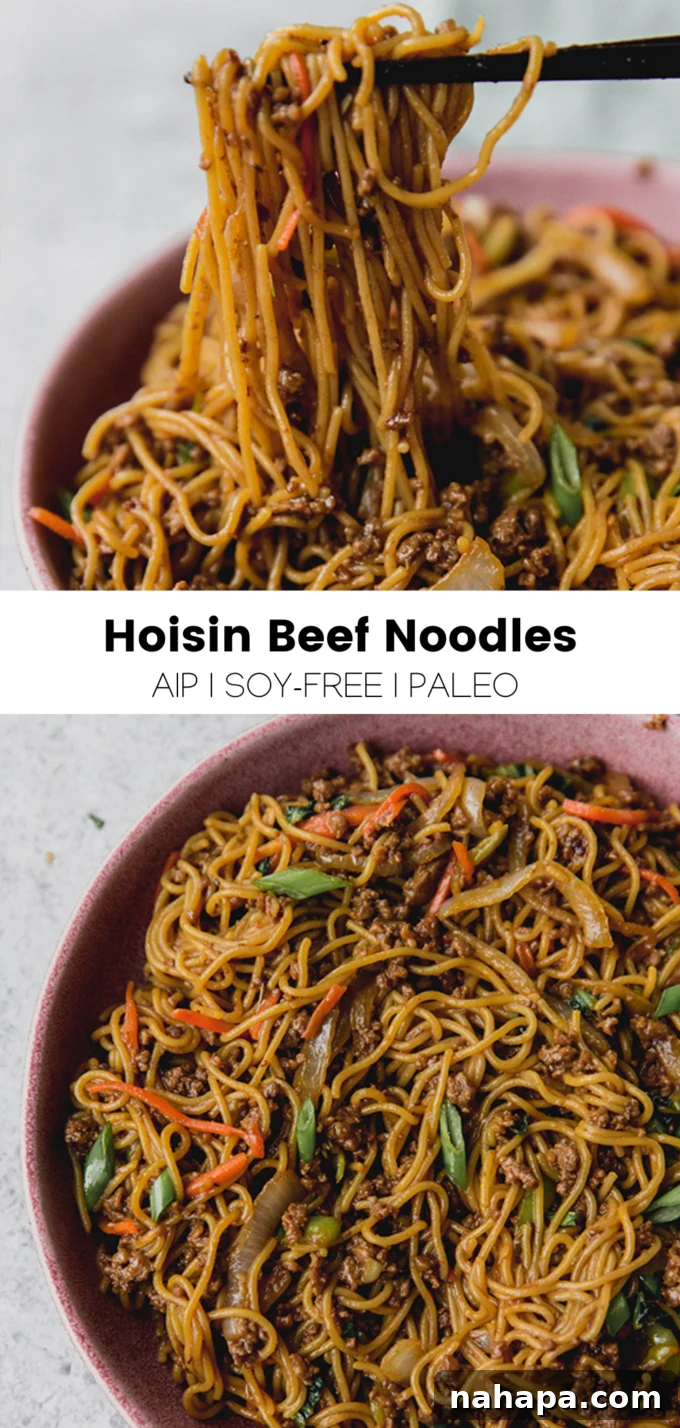 A full banner image for Hoisin Beef Noodles, showcasing the dish.