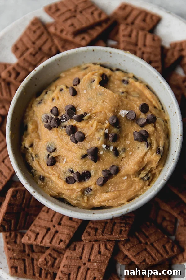 A deliciously creamy chocolate chip cookie dough dip, gluten-free and dairy-free, in a bowl with various dippers, ready to be enjoyed as a healthy snack or dessert.