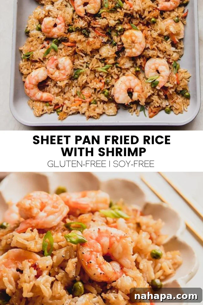 Sheet Pan Shrimp Rice Bake 7 img 21856 7