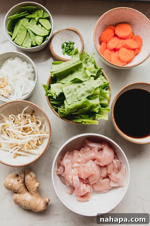 A collection of fresh ingredients laid out on a chopping board, including chicken breast, choy sum, bean sprouts, carrots, onions, ginger, and garlic, all ready for the chop suey recipe.