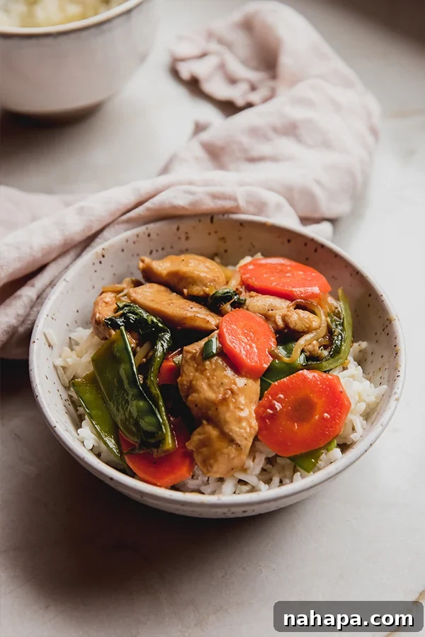 A beautifully presented bowl with a serving of rice topped with gluten-free chop suey, garnished with green onions, resting on a rustic counter.