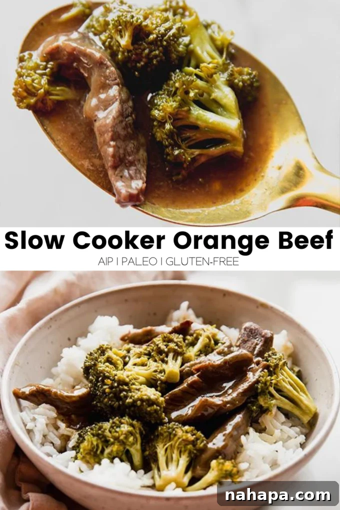 Savory Citrus Beef Slow Cooked Gluten Free AIP Friendly 7 Slow Cooker Orange Beef in a bowl with a fork, ready to eat