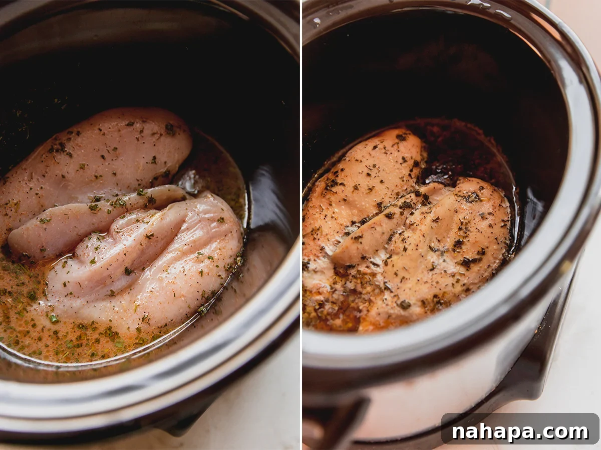 Before and after comparison of chicken breasts cooking in a slow cooker for ranch chicken tacos.