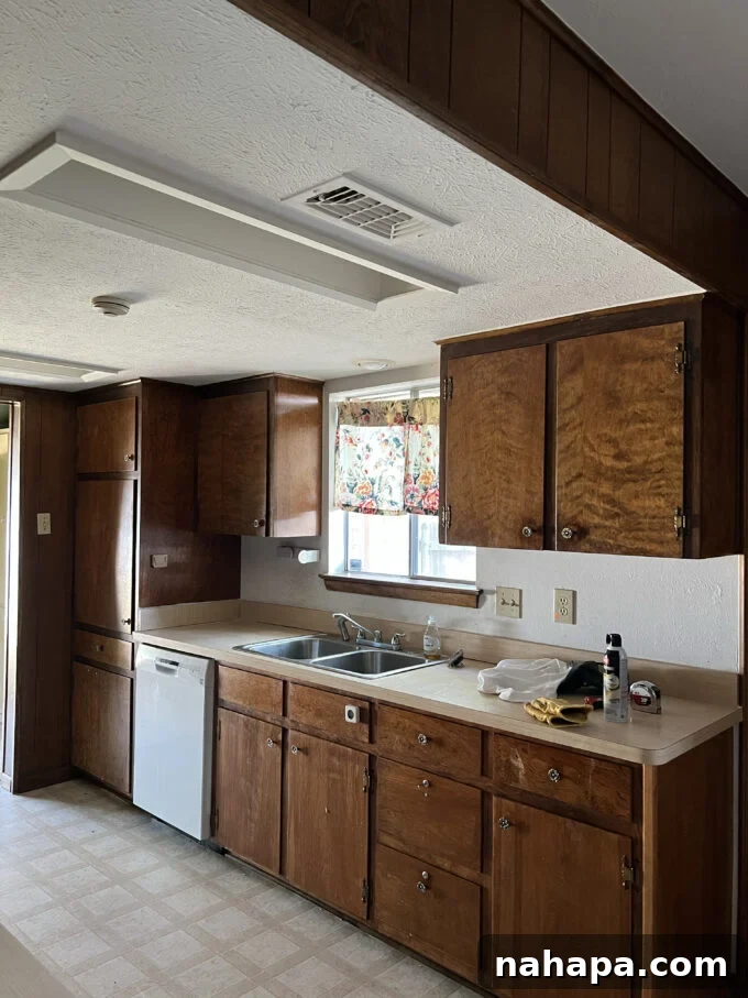 Before kitchen renovation - old cabinets and drop ceiling