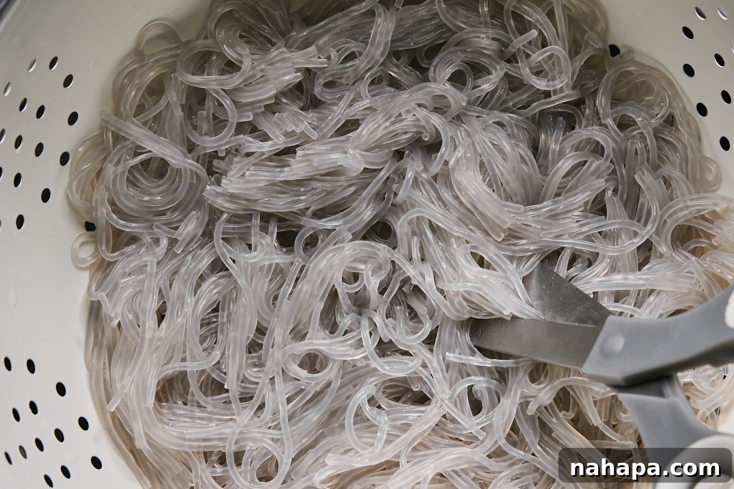 Pad Woon Sen Flavorful Gluten Free Glass Noodle Stir Fry 5 Dry glass noodles in a large bowl, ready for soaking, illustrating their delicate, transparent appearance.