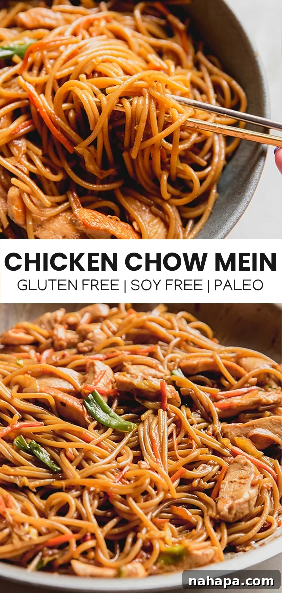 A high-quality Pinterest-ready image of gluten-free chicken chow mein in a bowl, perfect for social media sharing and enticing readers.