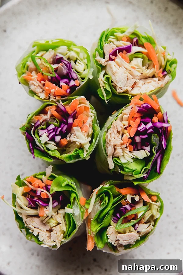 Chicken & Vegetable Summer Rolls