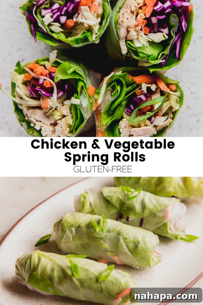 Chicken & Vegetable Summer Rolls