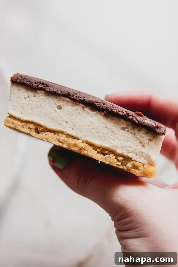 A photo of a gluten-free s'mores bar being held in a hand, showing its beautiful layers.
