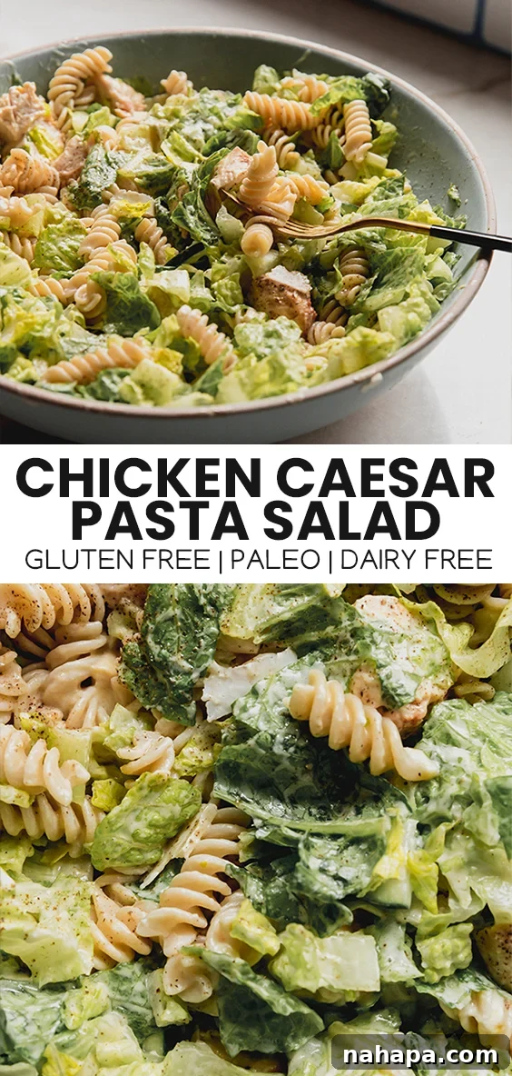 A top-down view of chicken pasta salad with fresh ingredients