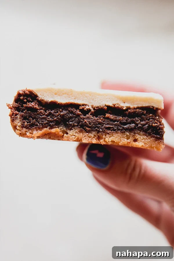 A s'mores brownie being held in a hand where you can see the layers.