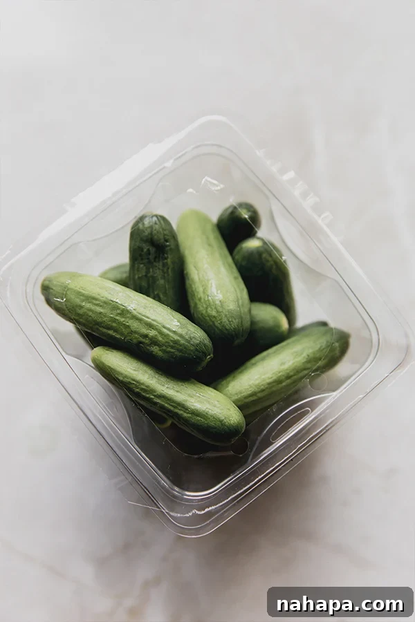 A bowl of fresh, washed mini cucumbers, ready for pickling.