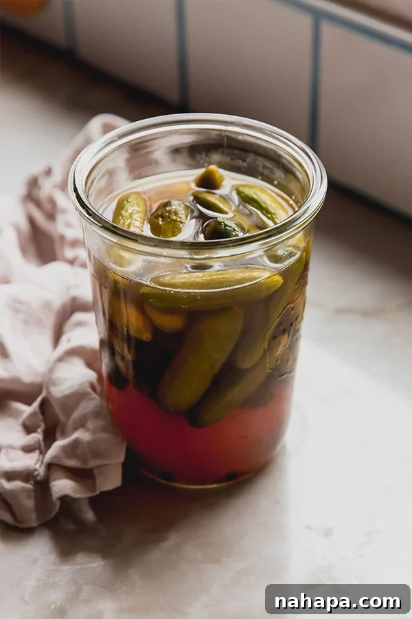 A jar of fresh apple cider vinegar refrigerator pickles, sparkling on the counter, ready for tasting.