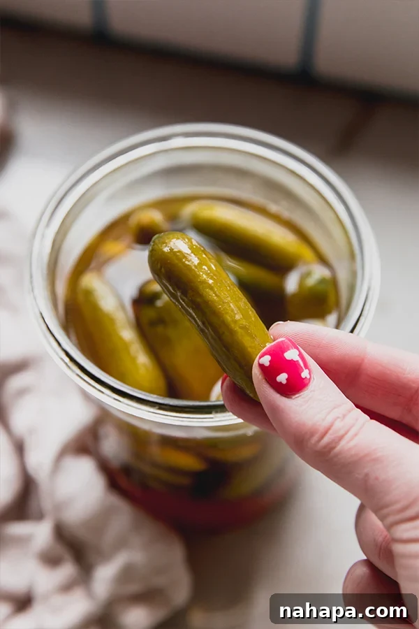 A hand reaching into a jar to pick up a perfectly crisp apple cider vinegar pickle.