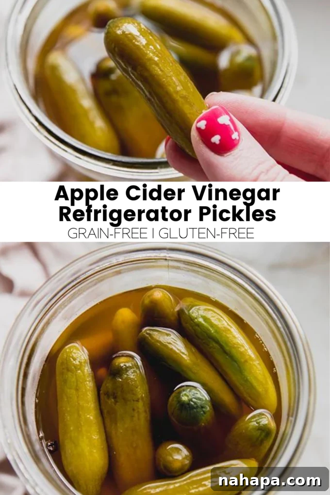 A vibrant infographic summarizing the benefits and ease of making Apple Cider Vinegar Refrigerator Pickles.