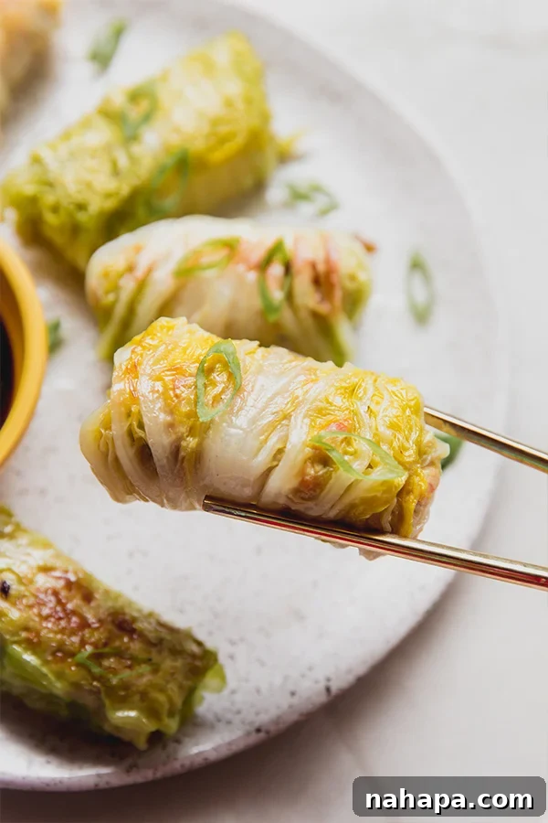 Chopsticks delicately picking up a perfectly cooked cabbage roll dumpling, showcasing its tender texture and appealing presentation.