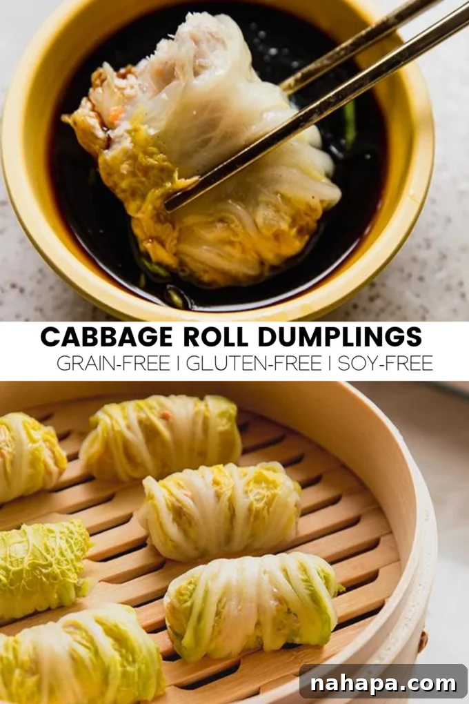 A beautifully arranged serving of freshly prepared Cabbage Roll Dumplings, garnished with green onions and a side of dipping sauce, showcasing a healthy and delicious meal.