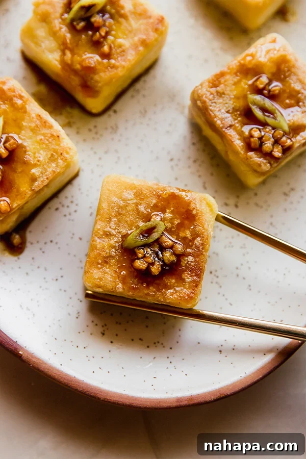 Burmese Soy-Free Chickpea Tofu 2 Crispy Chickpea Tofu with a Dipping Sauce