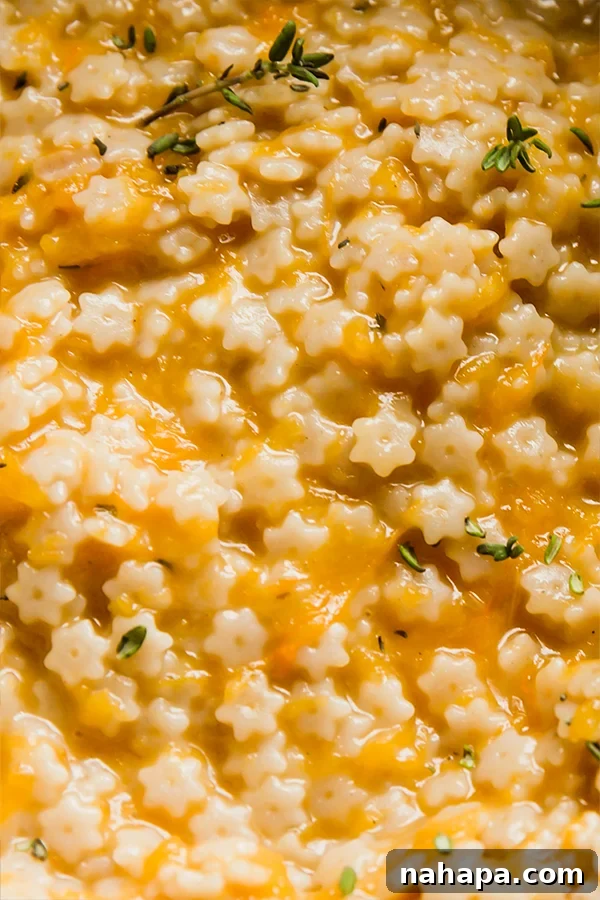 An enticing close-up photograph of a serving of creamy butternut squash stelline pasta, showcasing the vibrant orange color and delicate star pasta.