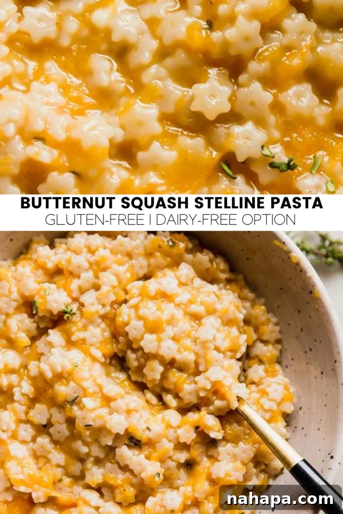 A vibrant and appealing graphic promoting Butternut Squash Stelline Pasta, visually summarizing the key elements of the dish.