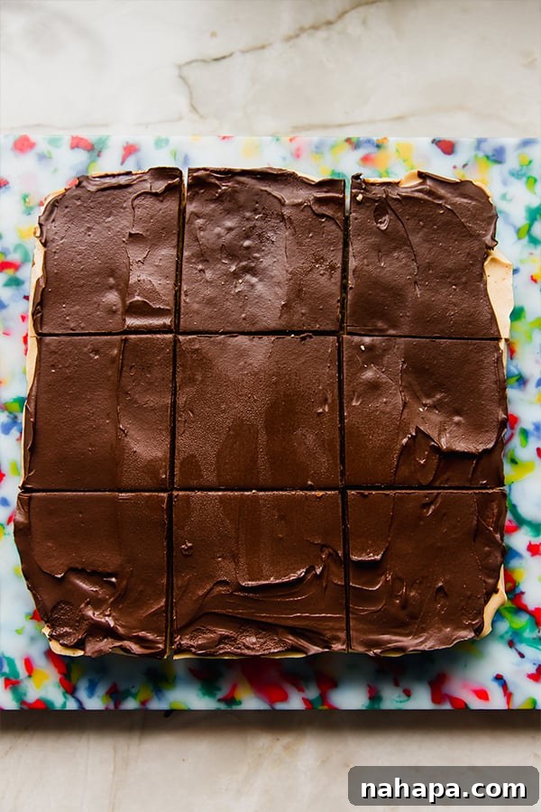 A full recipe of pumpkin spice s'mores bars sitting on the counter after being sliced into perfect squares.