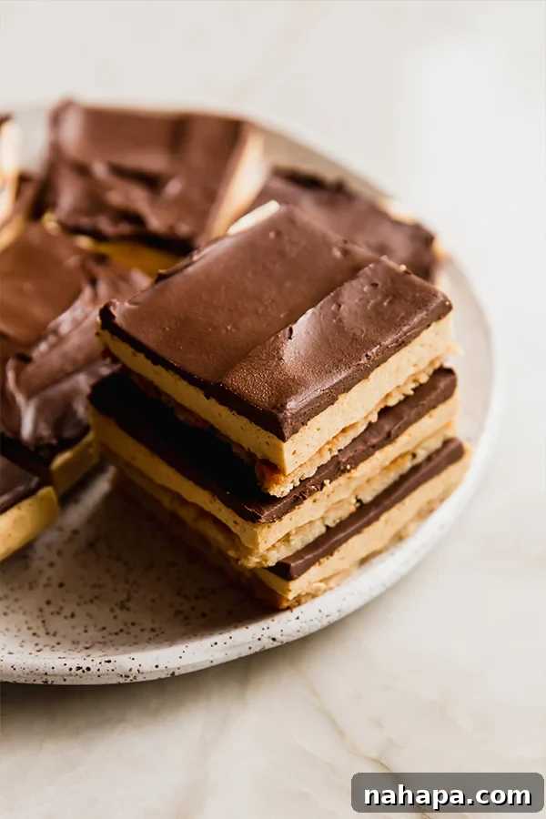Pumpkin Spice S'mores Bars