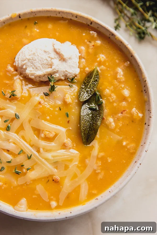 Creamy Butternut Squash Lasagna Soup Gluten And Dairy Free 4 A close-up, appetizing view of a hearty bowl of Butternut Squash Lasagna Soup, showcasing tender pieces of butternut squash, savory ground chicken, and gluten-free lasagna pasta, all swimming in a rich, creamy broth. Perfect for a cozy meal.