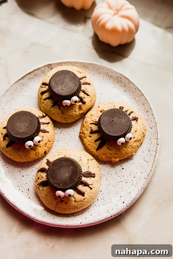 A tantalizing close-up shot of Halloween spider cookies arranged on a plate, showcasing their festive and spooky decorations, ready to be enjoyed.
