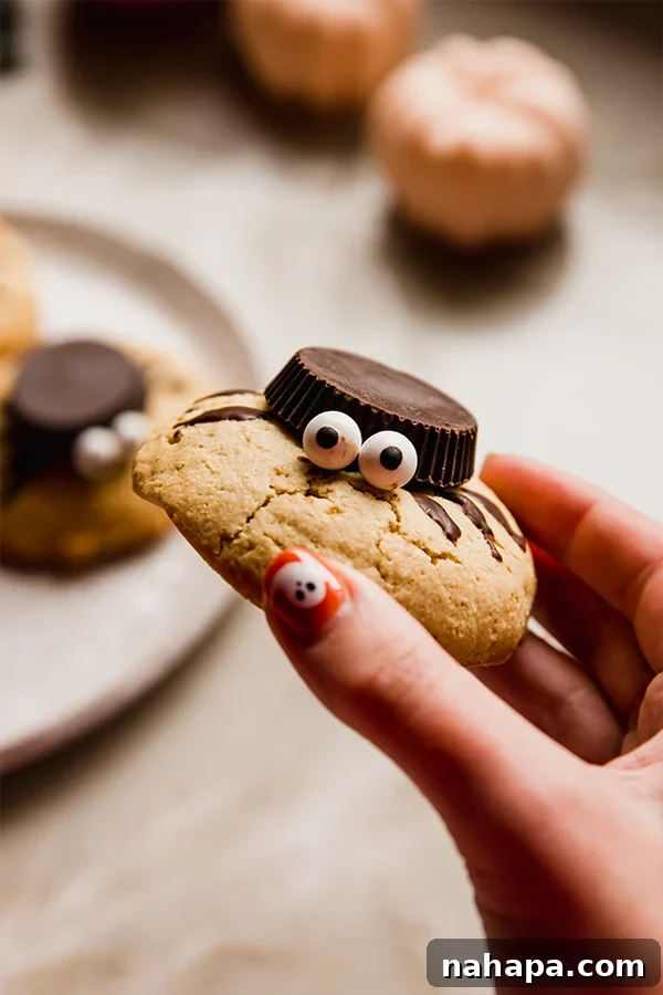 A festive plate of Gluten-Free and Dairy-Free Halloween Spider Cookies, topped with almond butter cups and chocolate legs, ready for a spooky celebration.