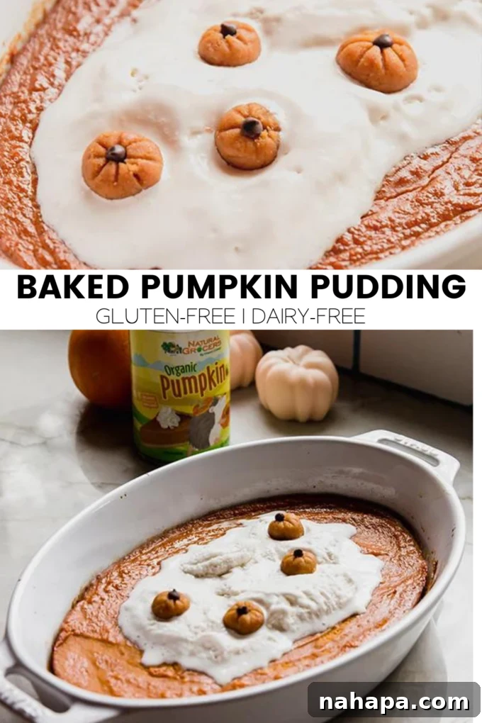 A final, aesthetically pleasing shot of the baked pumpkin pudding, inviting readers to try this delicious dessert.