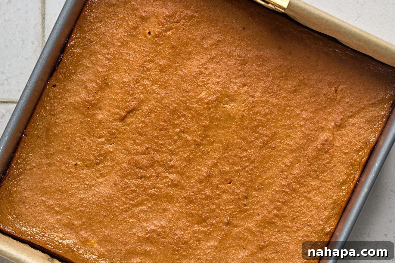 Spiced Gluten Free Pumpkin Chocolate Chip Cookie Bars 9 The pumpkin cookie bars, freshly baked and golden, in an 8x8 inch pan, ready for cooling and slicing.